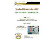 Journée Bridge Plus - Vendredi 22 novembre 2024